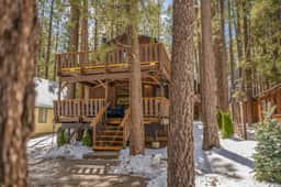 Rainbow Tree Haus