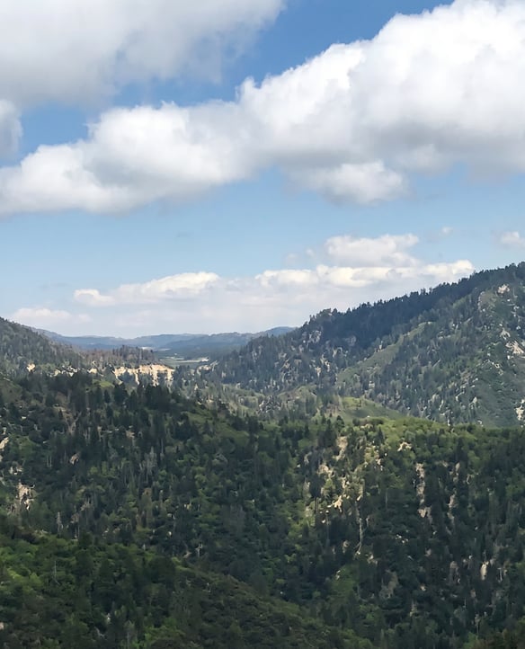 Hiking Trails