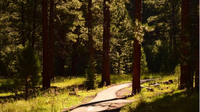 The Best Hikes Near Big Bear Lake (For Every Skill Level)